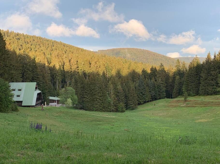 Natur pur im Nationalpark Schwarzwald