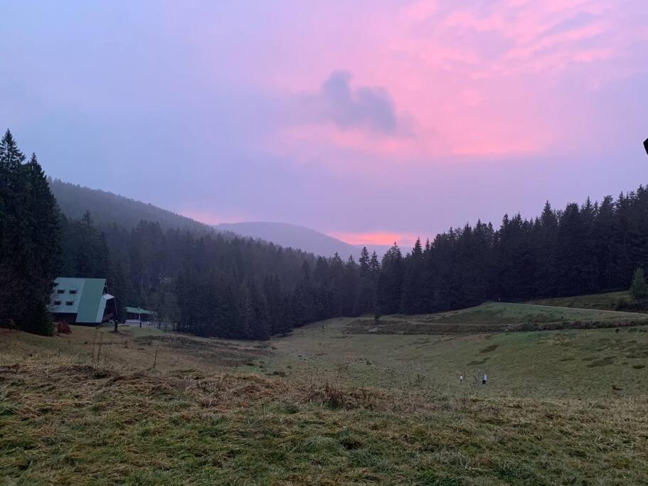 Natur pur im Nationalpark Schwarzwald