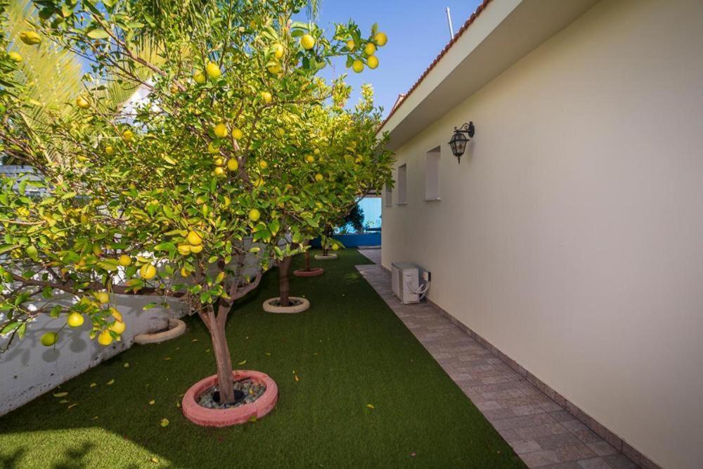 Villa Christo