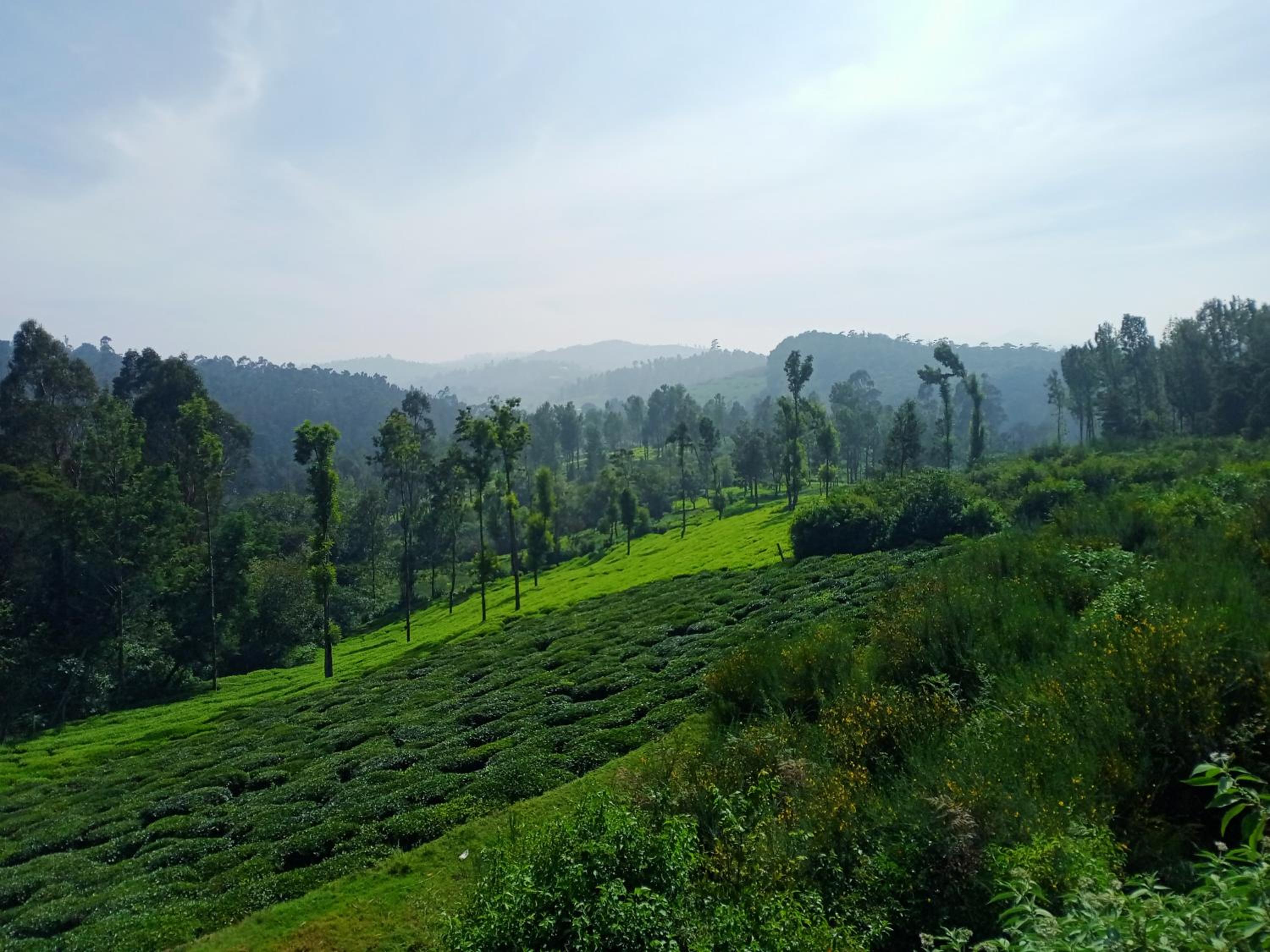Jayasri Home view 2