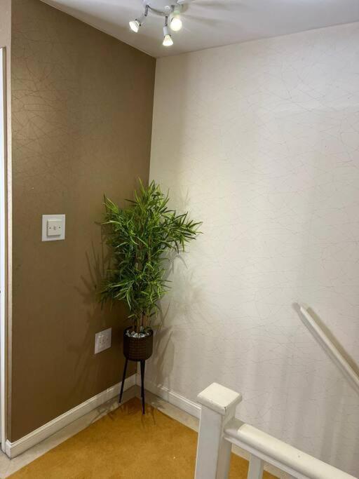 Gracehill Suite
