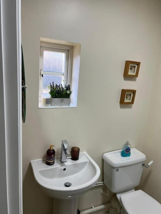 Gracehill Suite