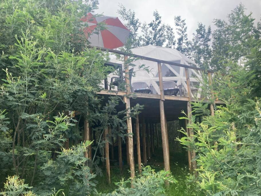 Glamping vista lago Guatavita