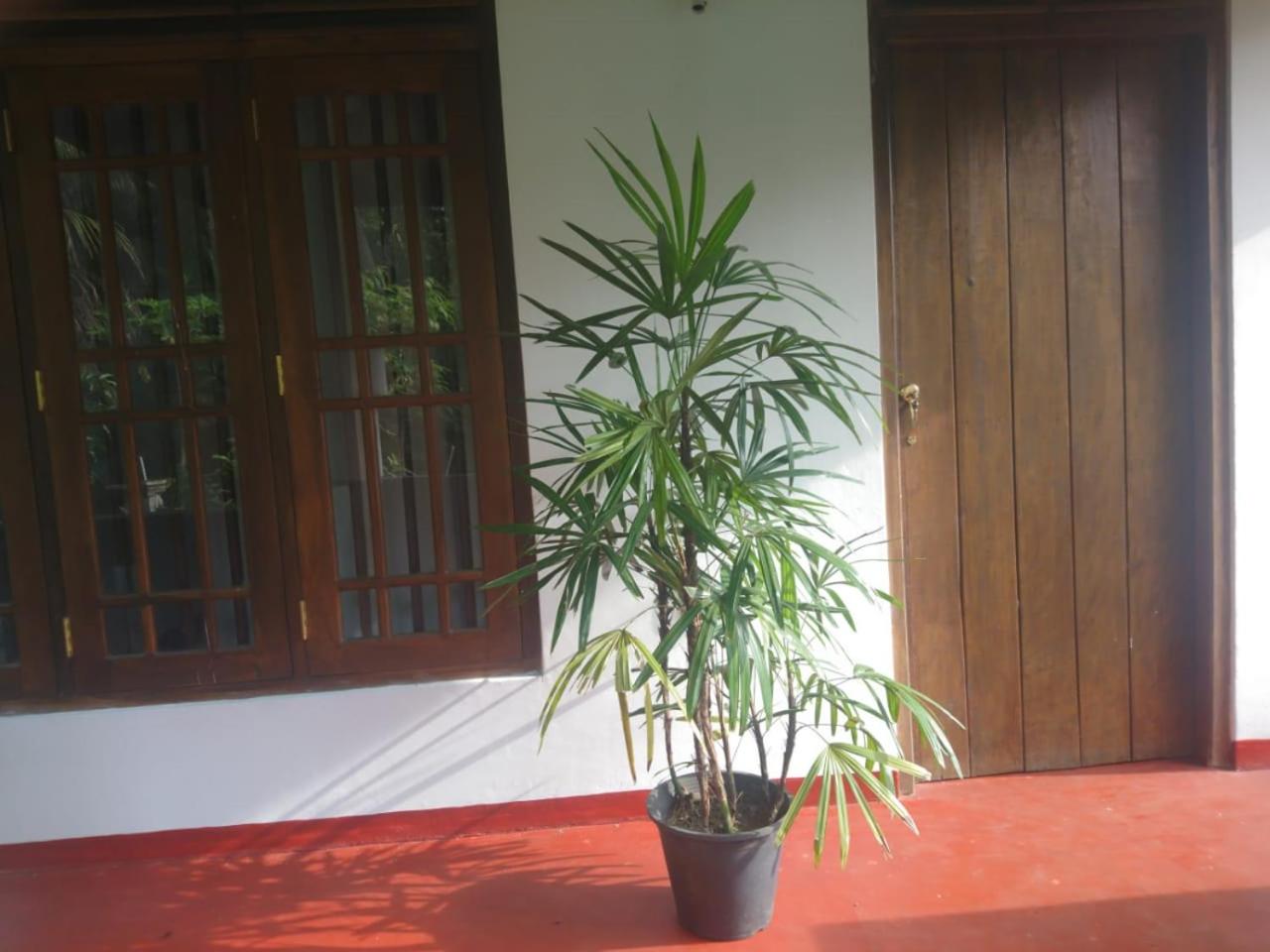 Villa Manu Hikkaduwa