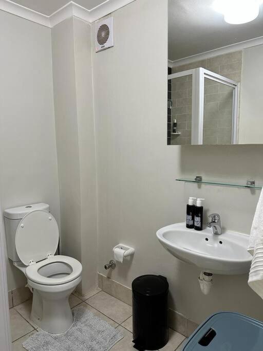 Cozy Rondebosch Apartment view 4
