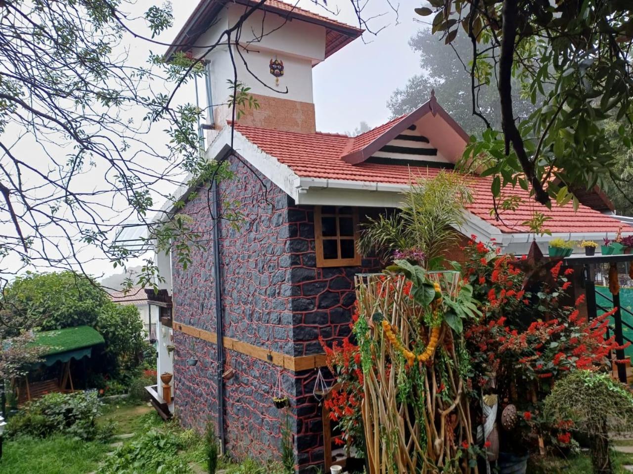 Kasal's nest view 4