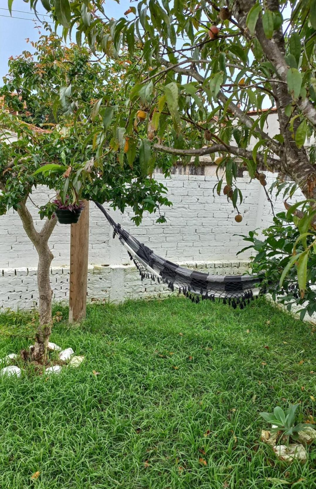 Casinha Verde