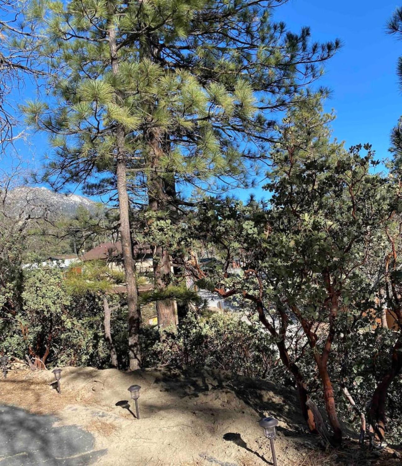 Blissfully Wild -with Hot Tub and pets are welcome view 4