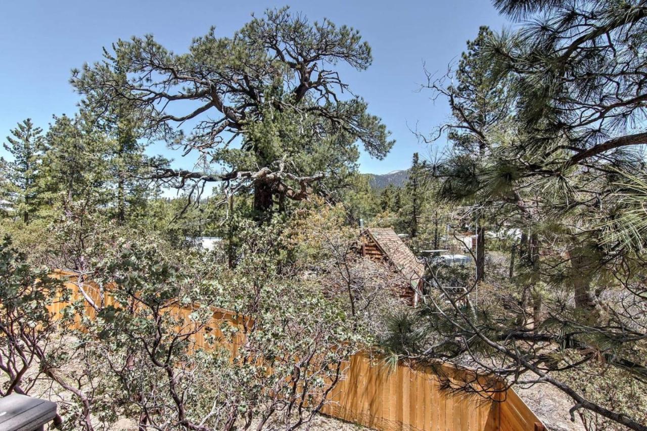 Photo 75