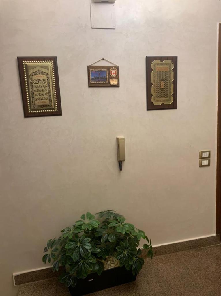Luxury Apartment Nasr City