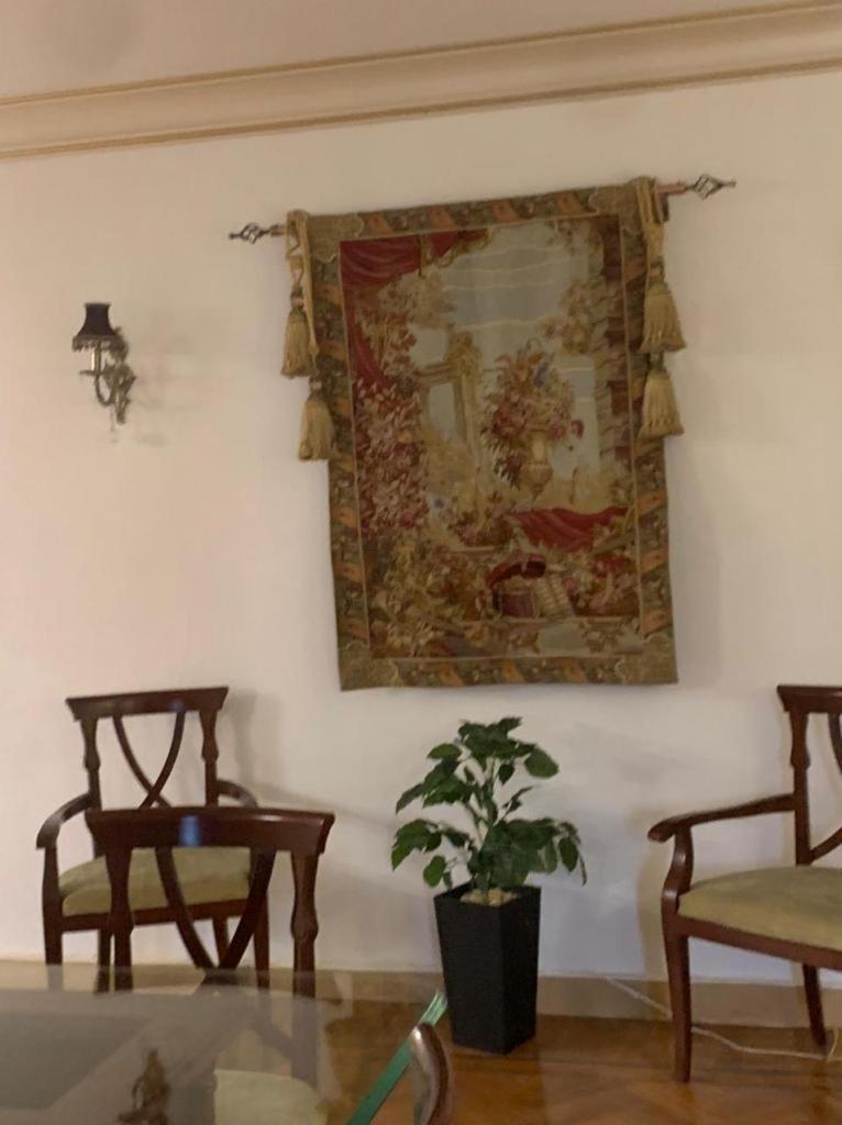 Luxury Apartment Nasr City