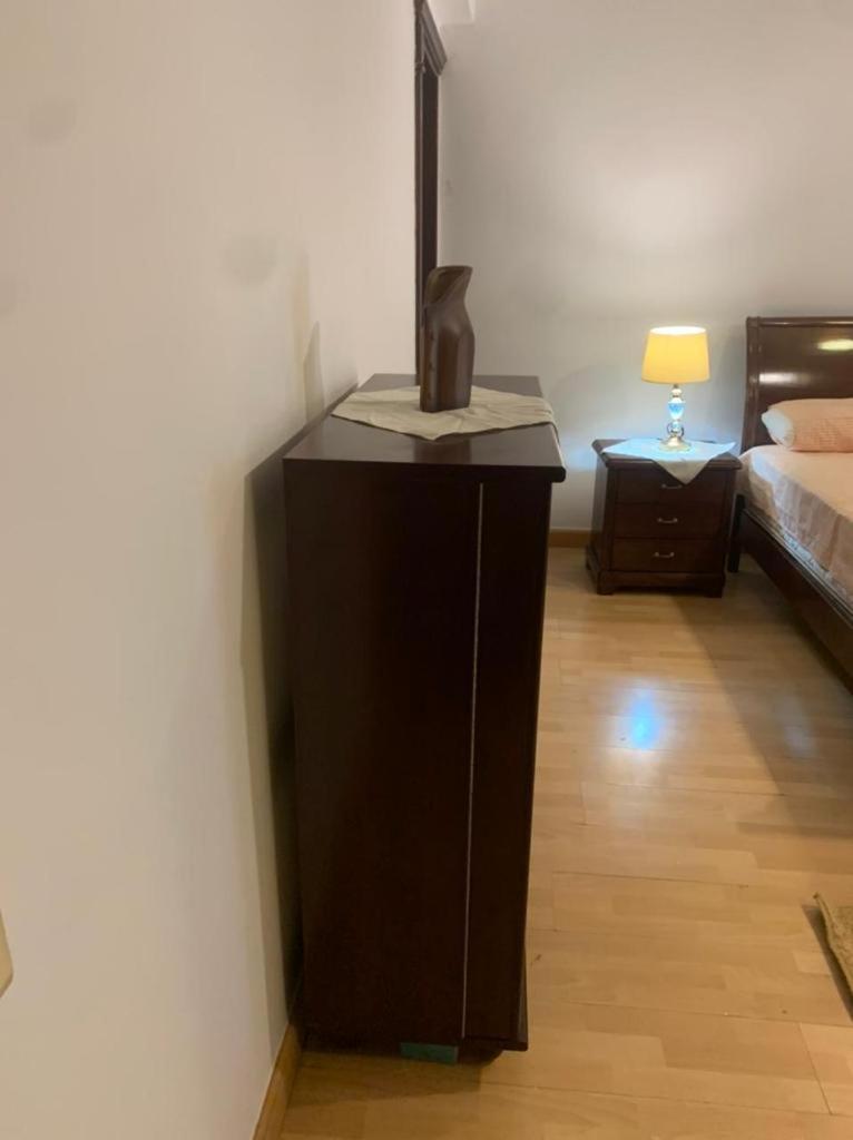 Luxury Apartment Nasr City