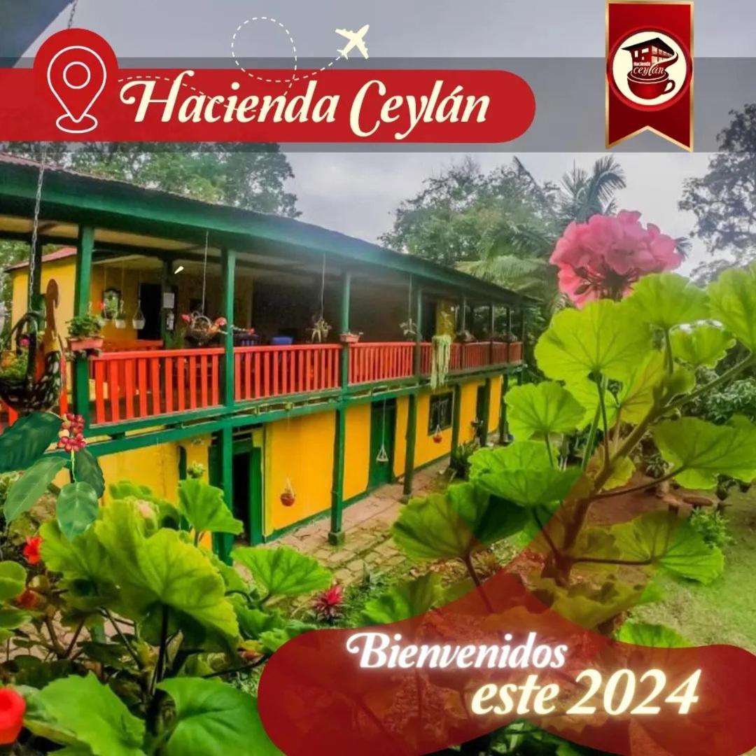 Hacienda Ceylán - Hacienda Cafetera