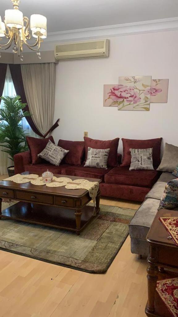 Luxury Apartment Nasr City