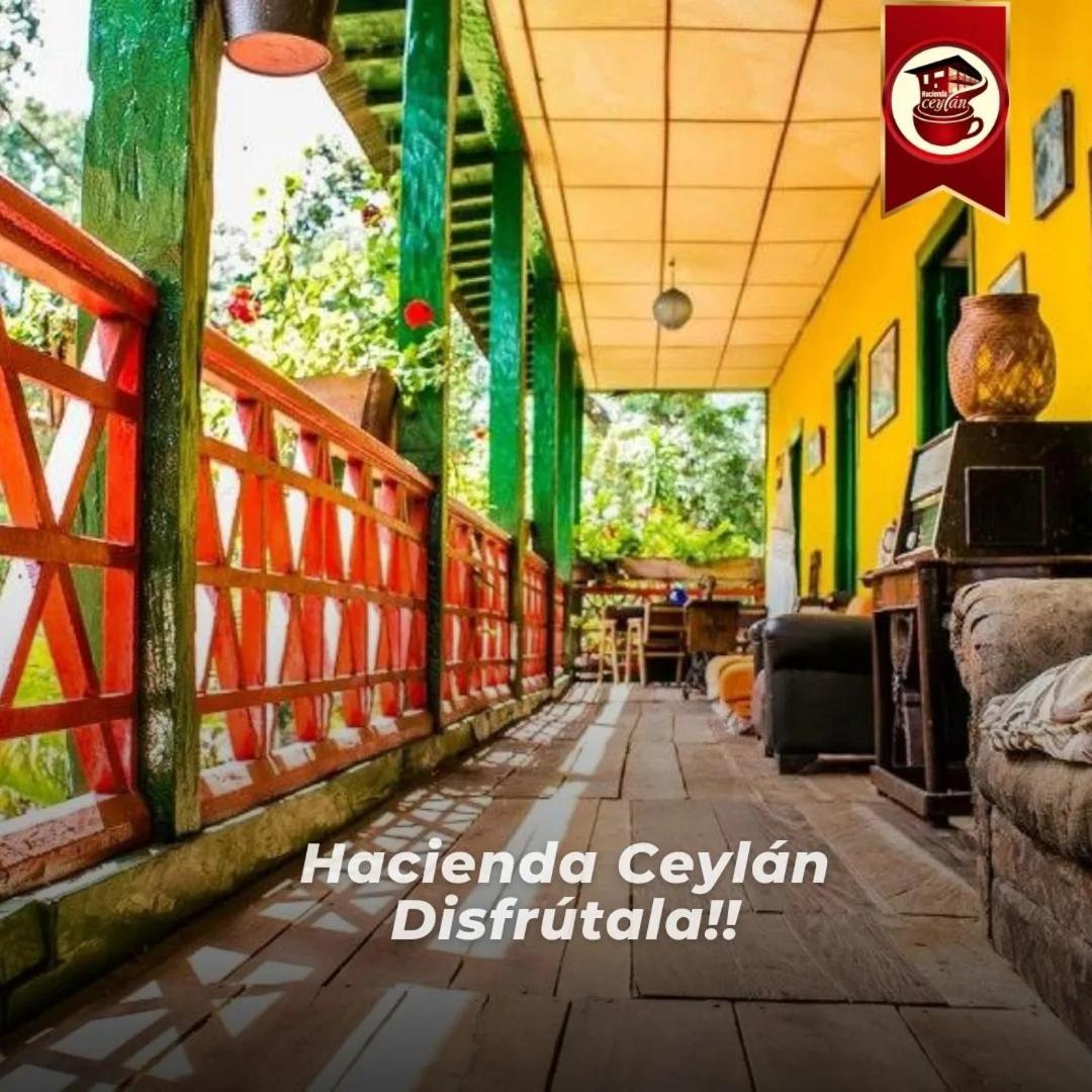 Hacienda Ceylán - Hacienda Cafetera