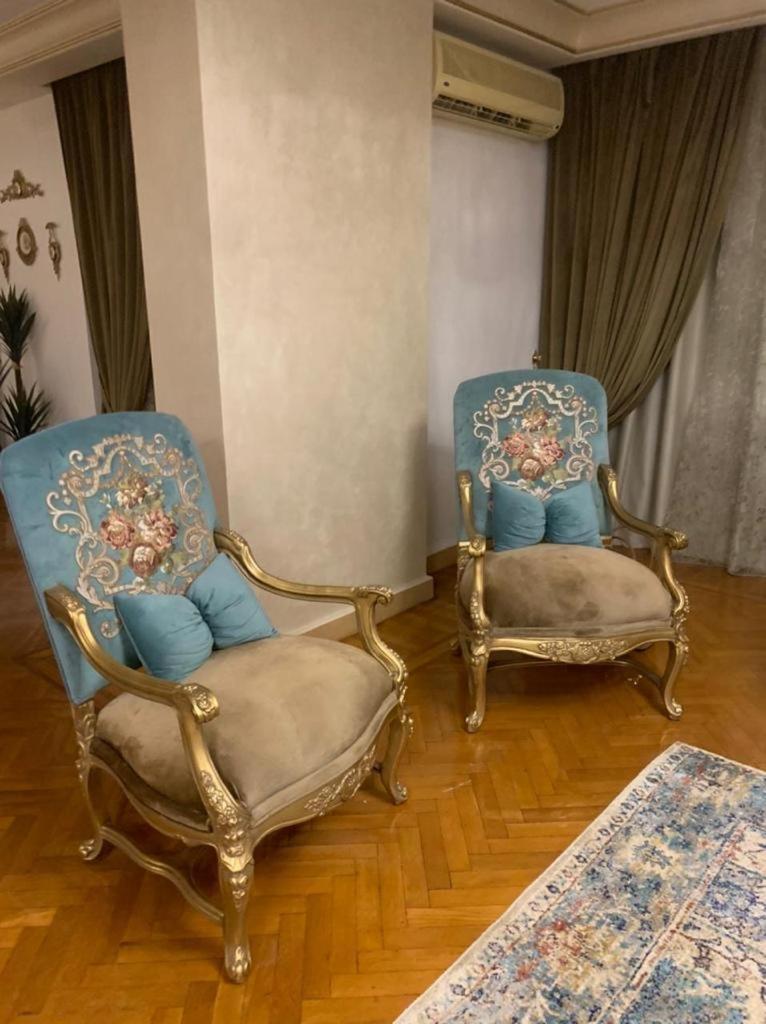 Luxury Apartment Nasr City