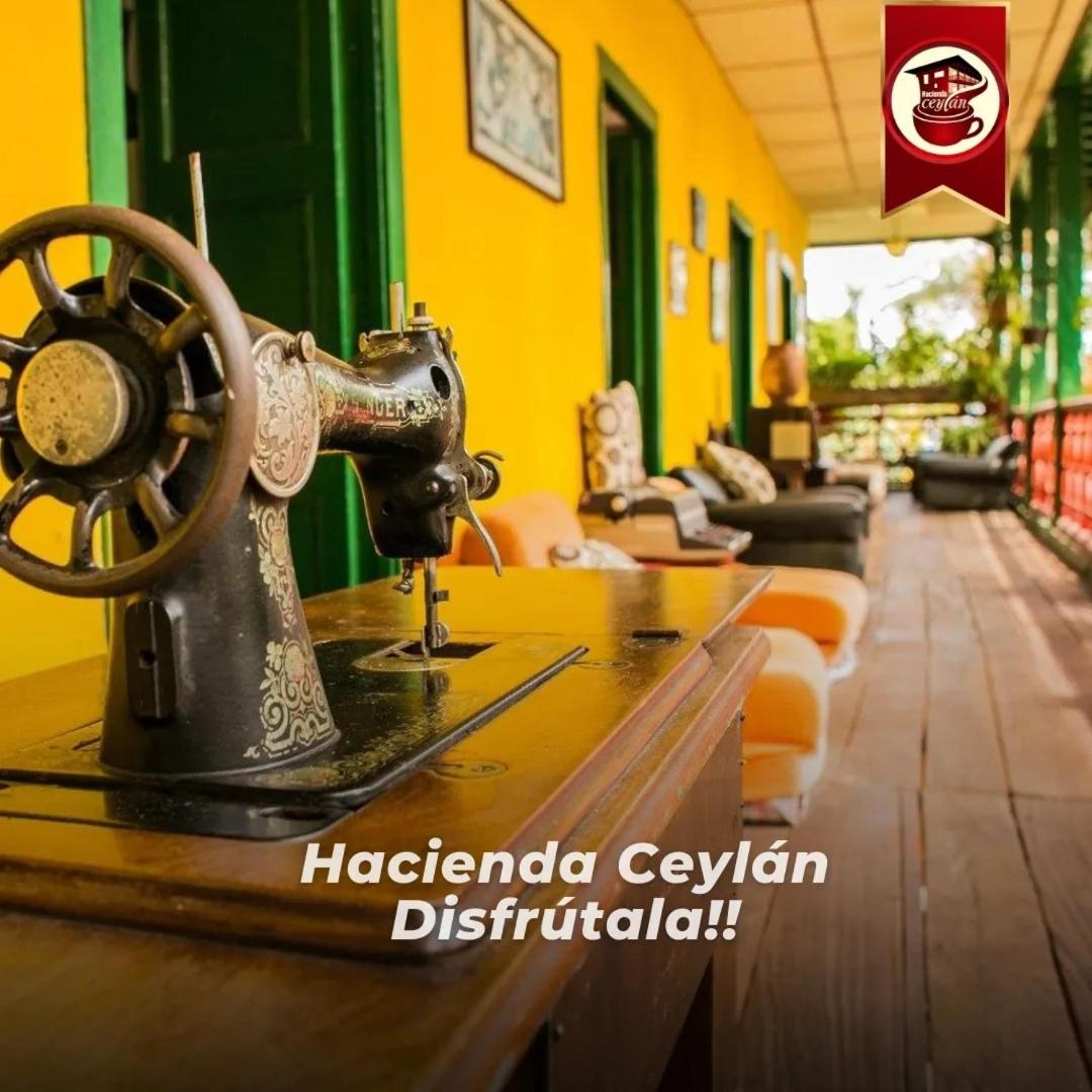 Hacienda Ceylán - Hacienda Cafetera