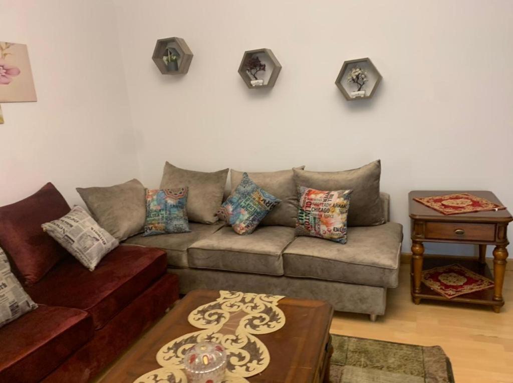 Luxury Apartment Nasr City
