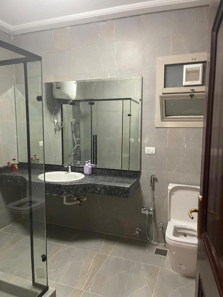 Luxury Apartment Nasr City
