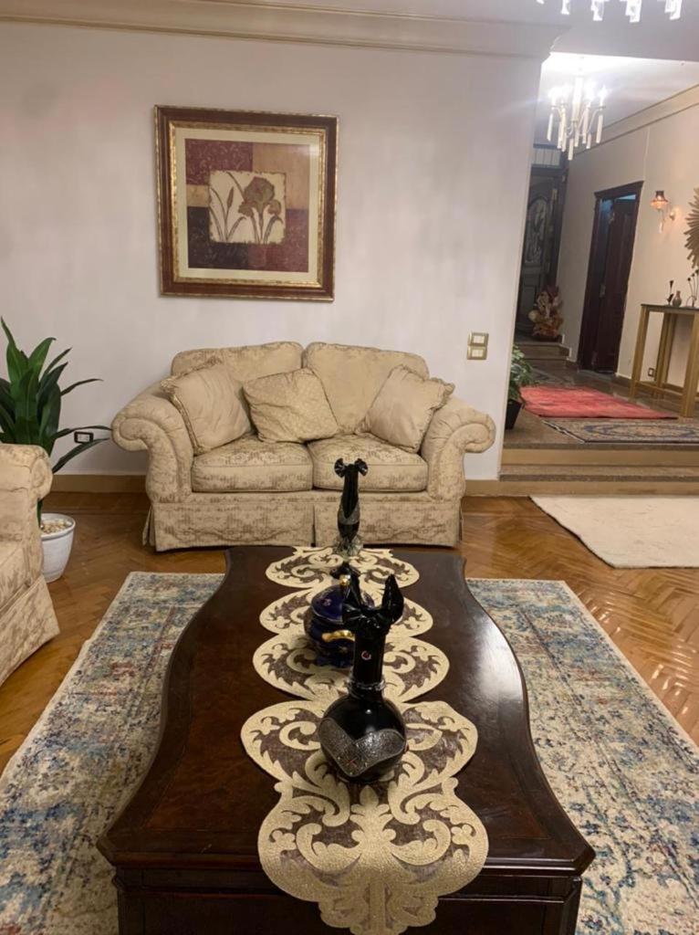 Luxury Apartment Nasr City