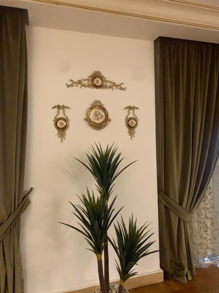 Luxury Apartment Nasr City