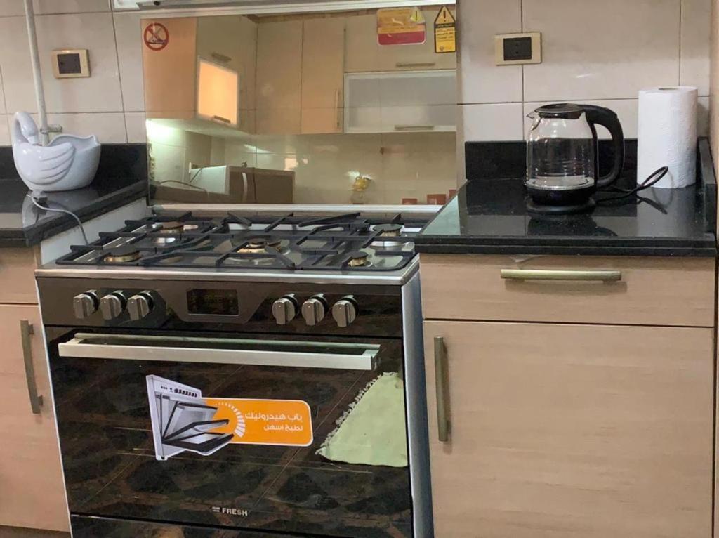 Luxury Apartment Nasr City