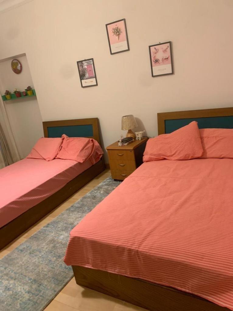 Luxury Apartment Nasr City