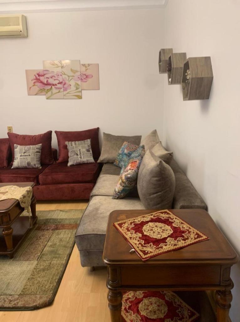 Luxury Apartment Nasr City
