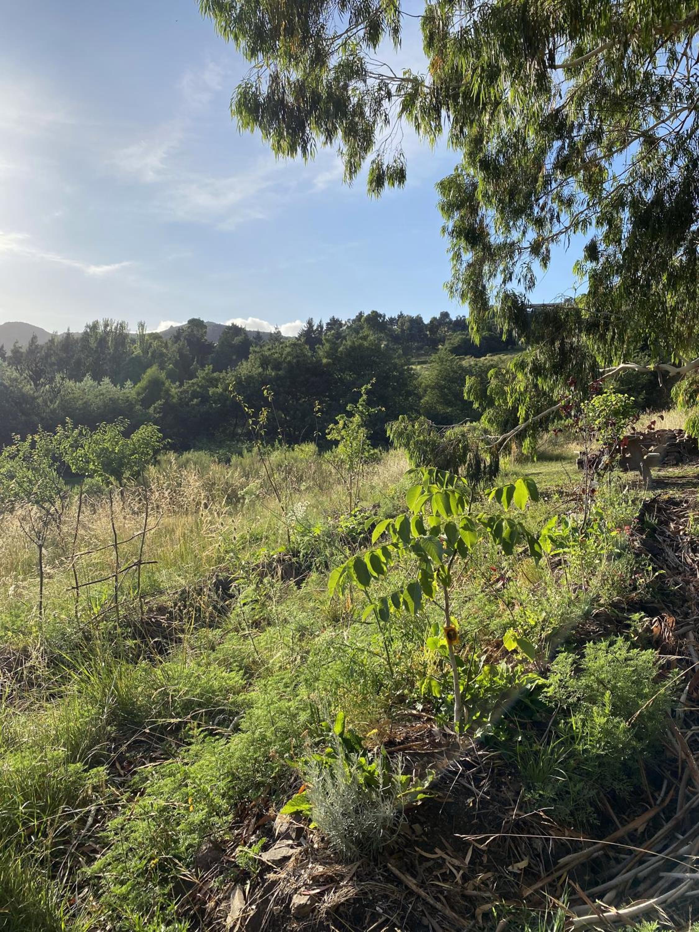 La Osera Tandil