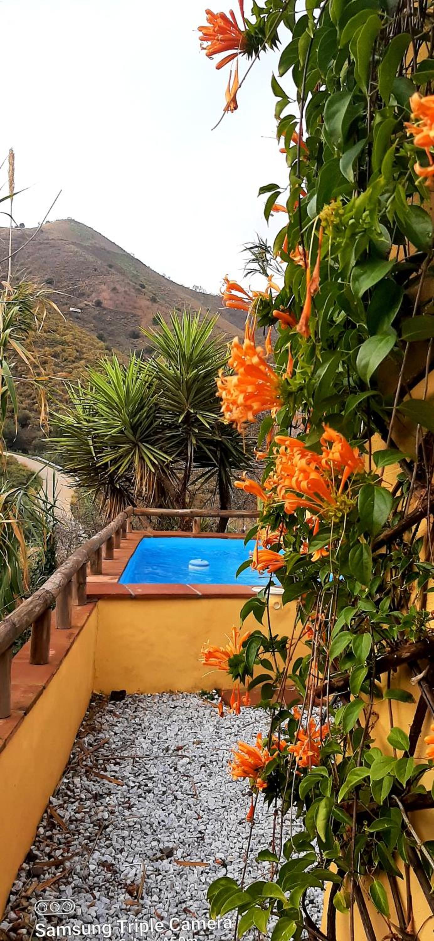 Adobe Getaway with 'private plunge pool' view 3