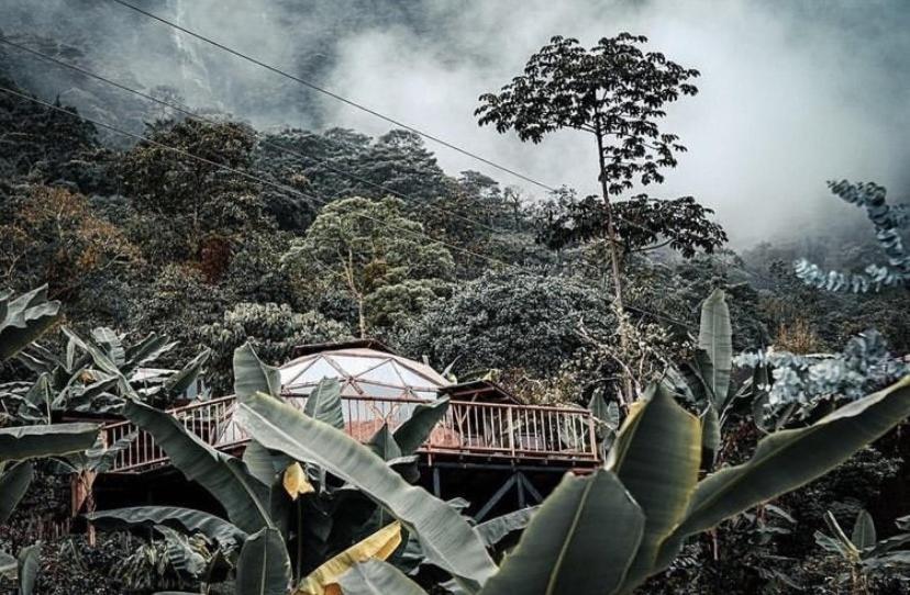 Monte Mágico