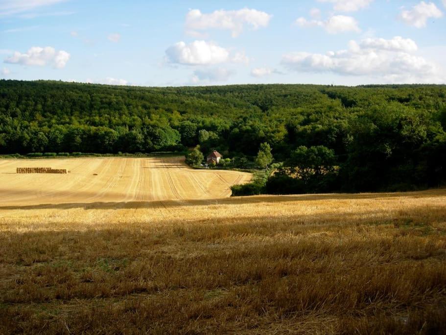 Luxury barn with tennis court in South Downs National Park