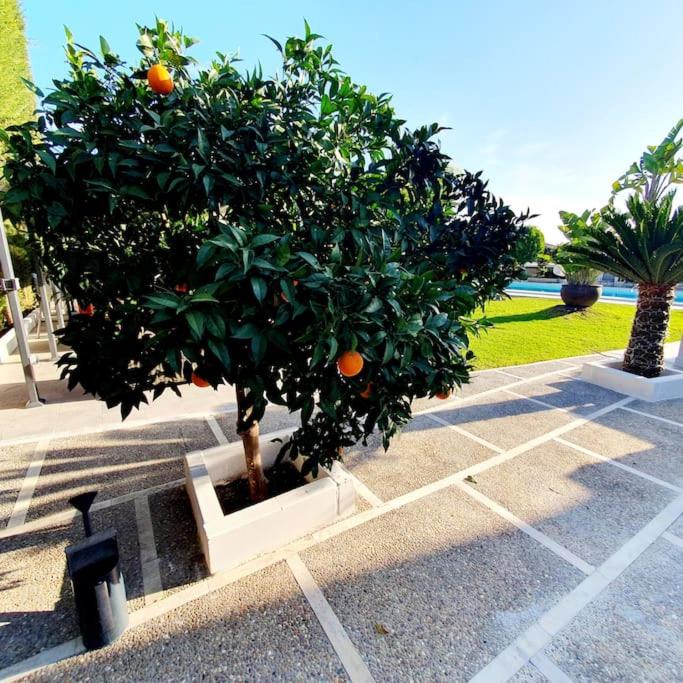 Espectacular villa close to Sevilla - Sevillarooms