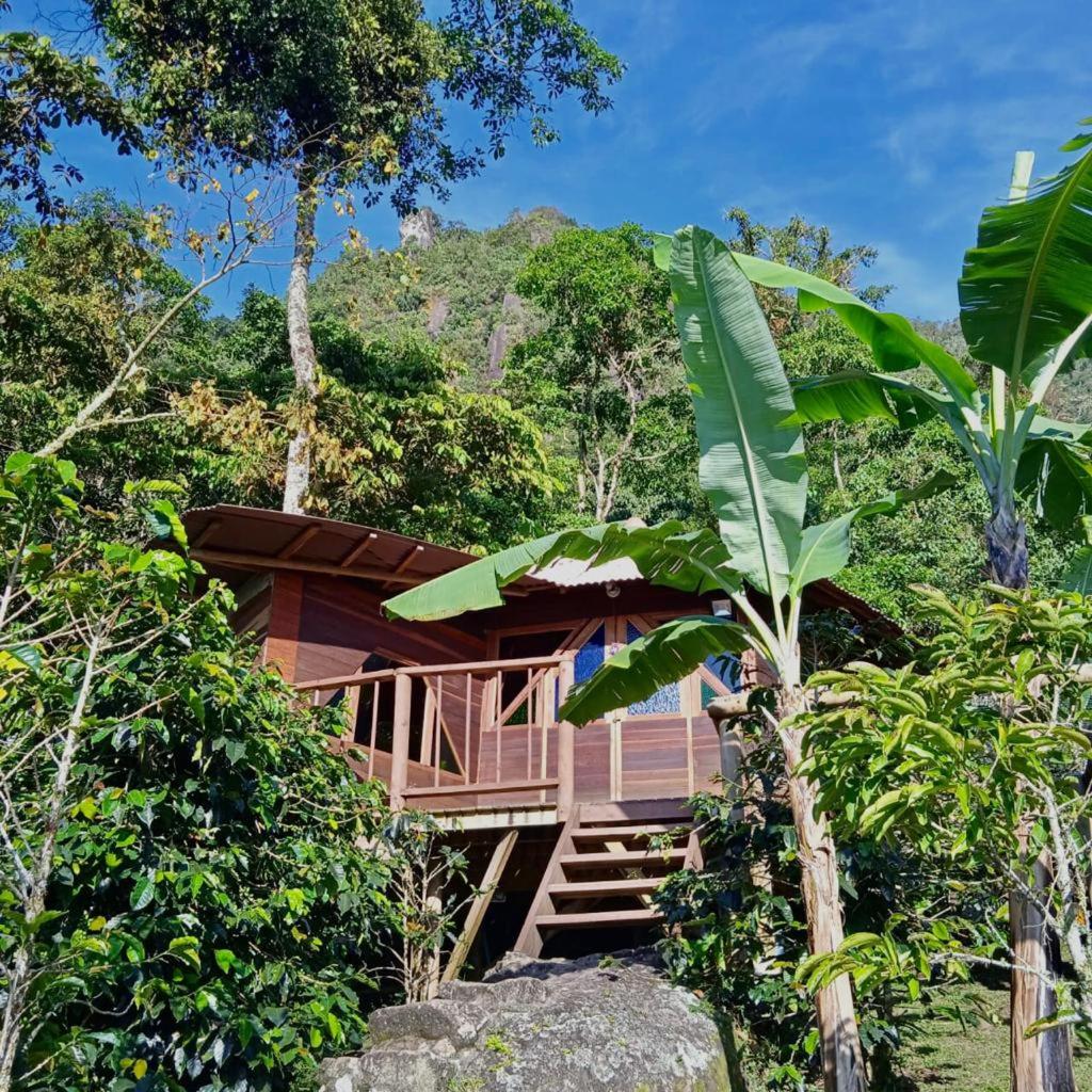 Monte Mágico