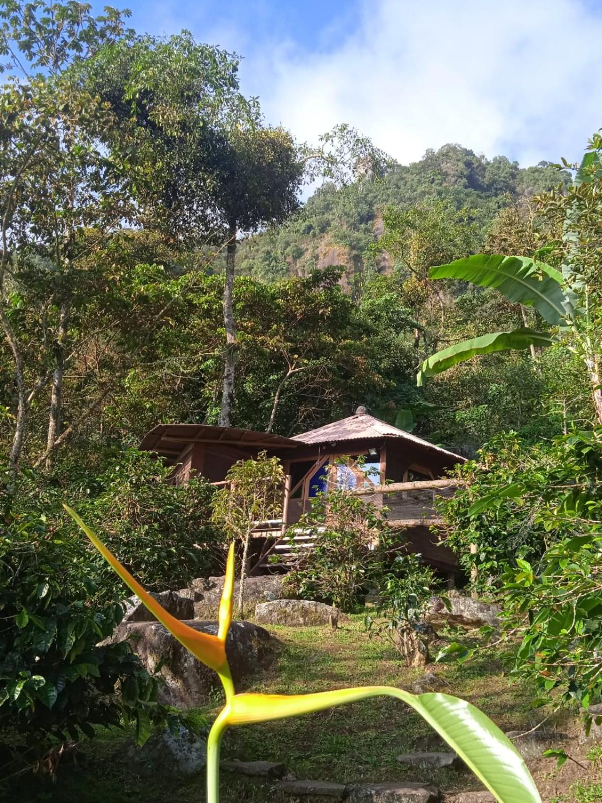Monte Mágico