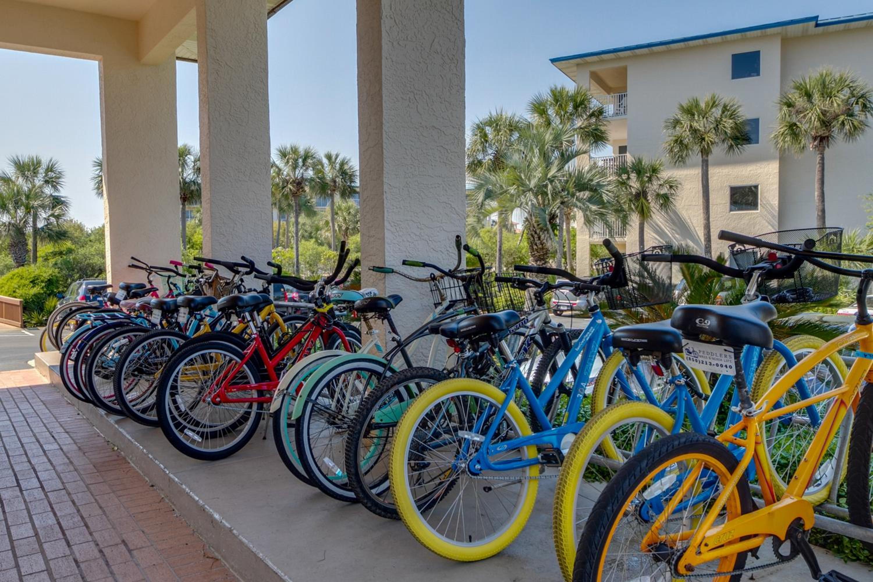 activities & amenities