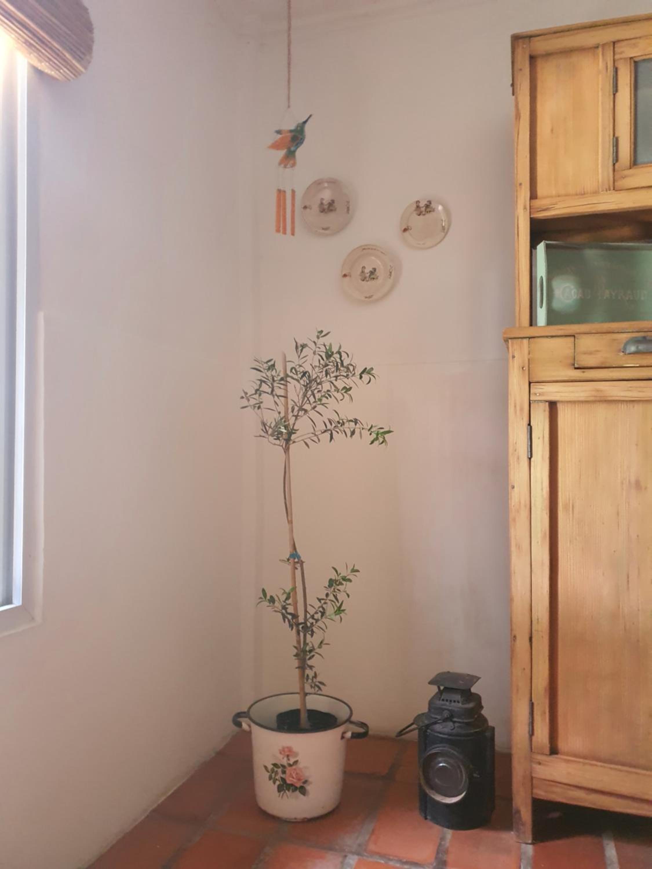 Casa Colibrí