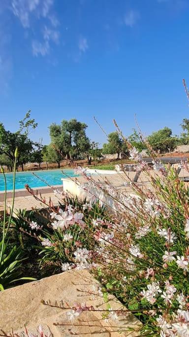 Villa con piscina LàMìa Donnagnora a Ostuni