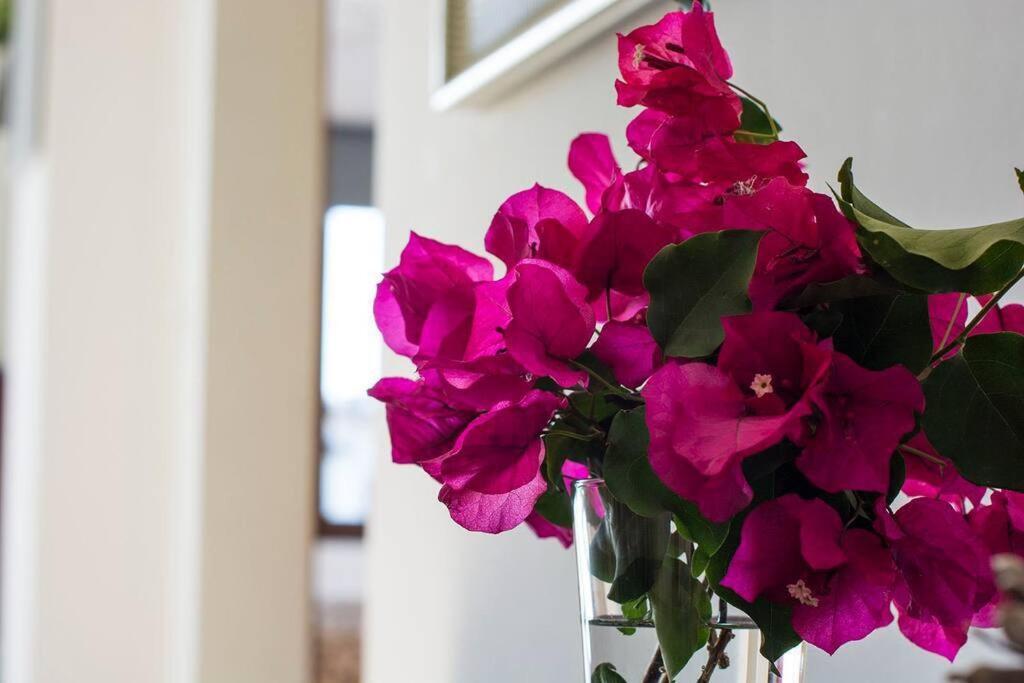 Apartamento 33, Frigiliana Spacious family Apartment with large Pool in the town center HansOnHoliday Rentals