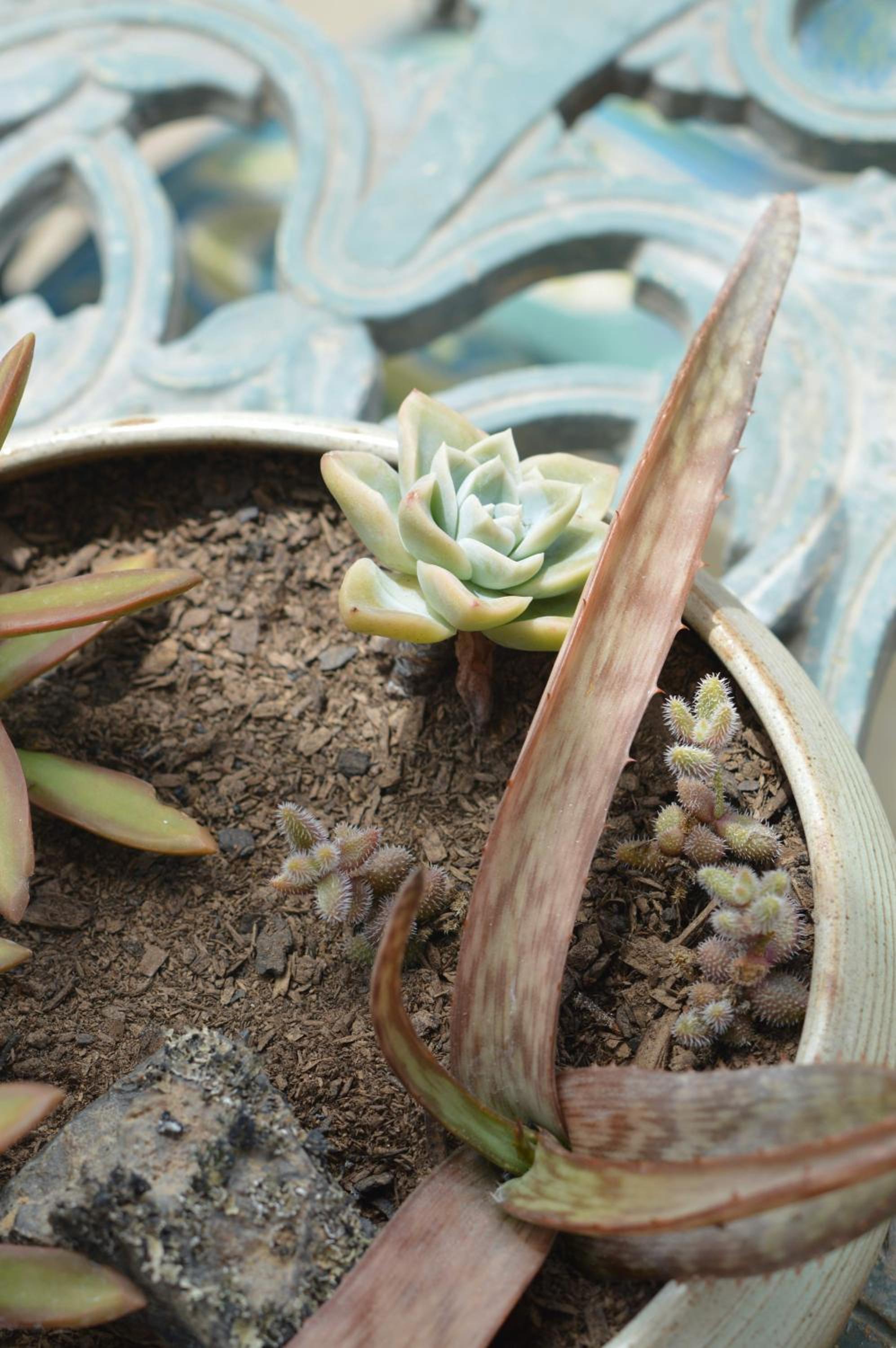 Photo 22
