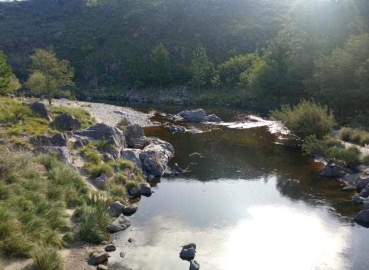 La Nany Cabañas Altos de Montaña