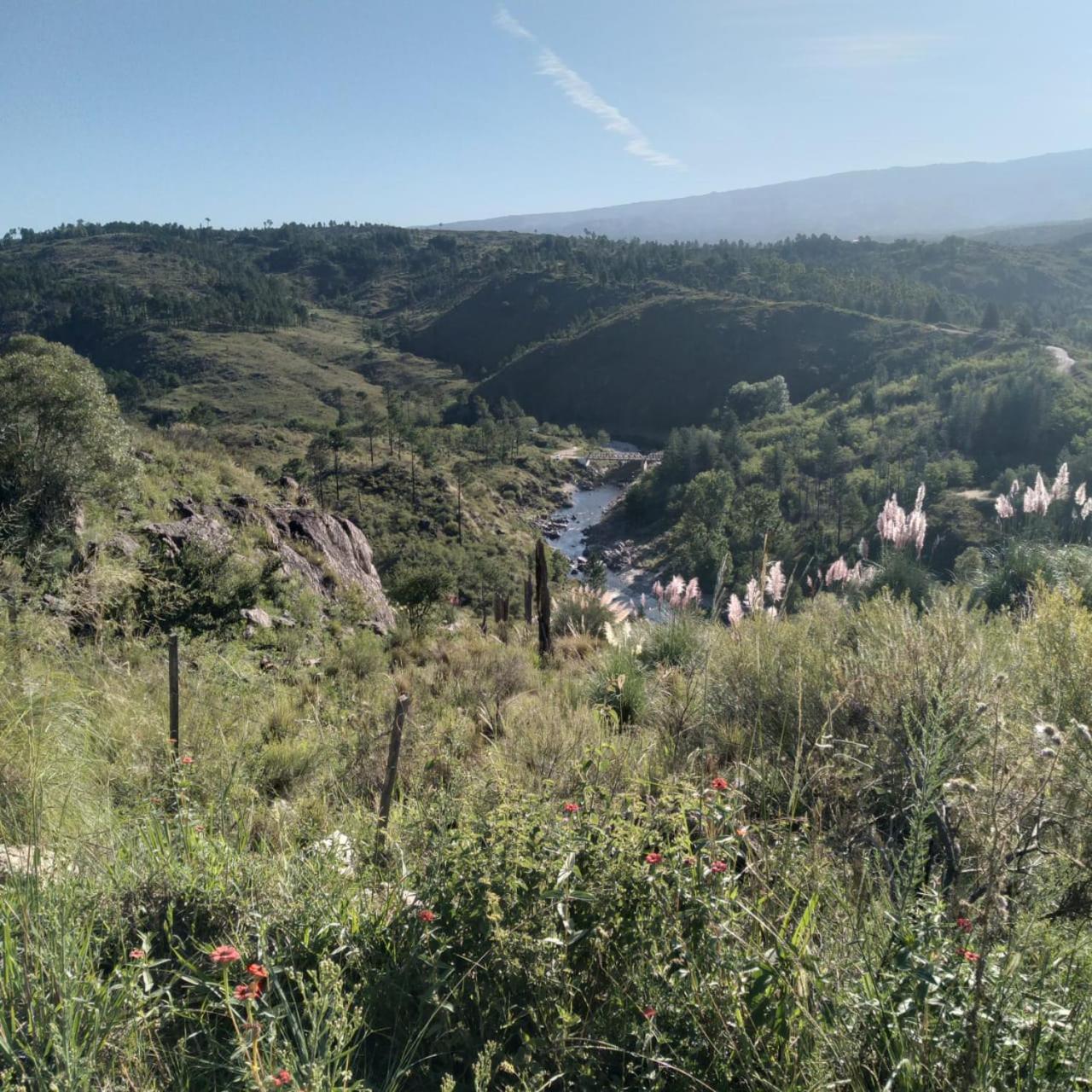 La Nany Cabañas Altos de Montaña