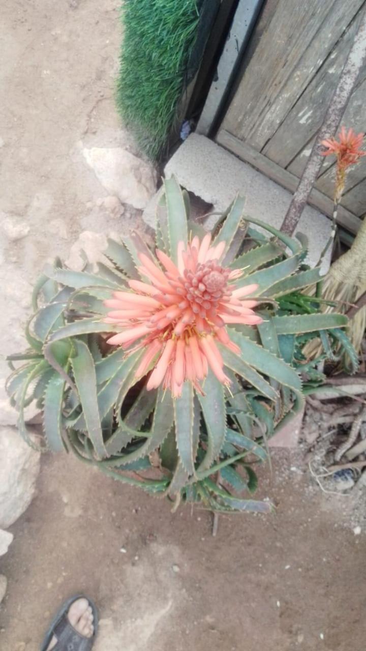 other