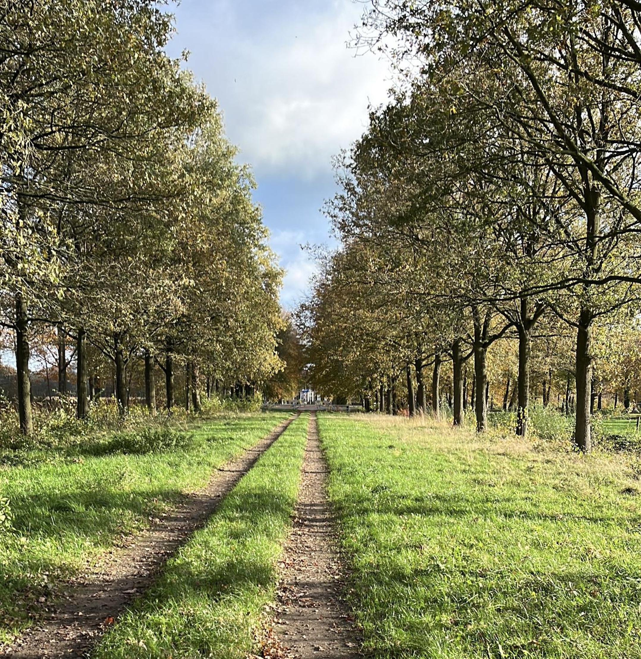 Erve Zonnehoeve B&B en Wijngaard