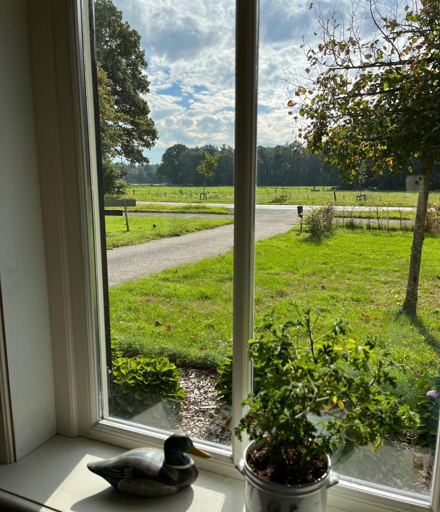Erve Zonnehoeve B&B en Wijngaard