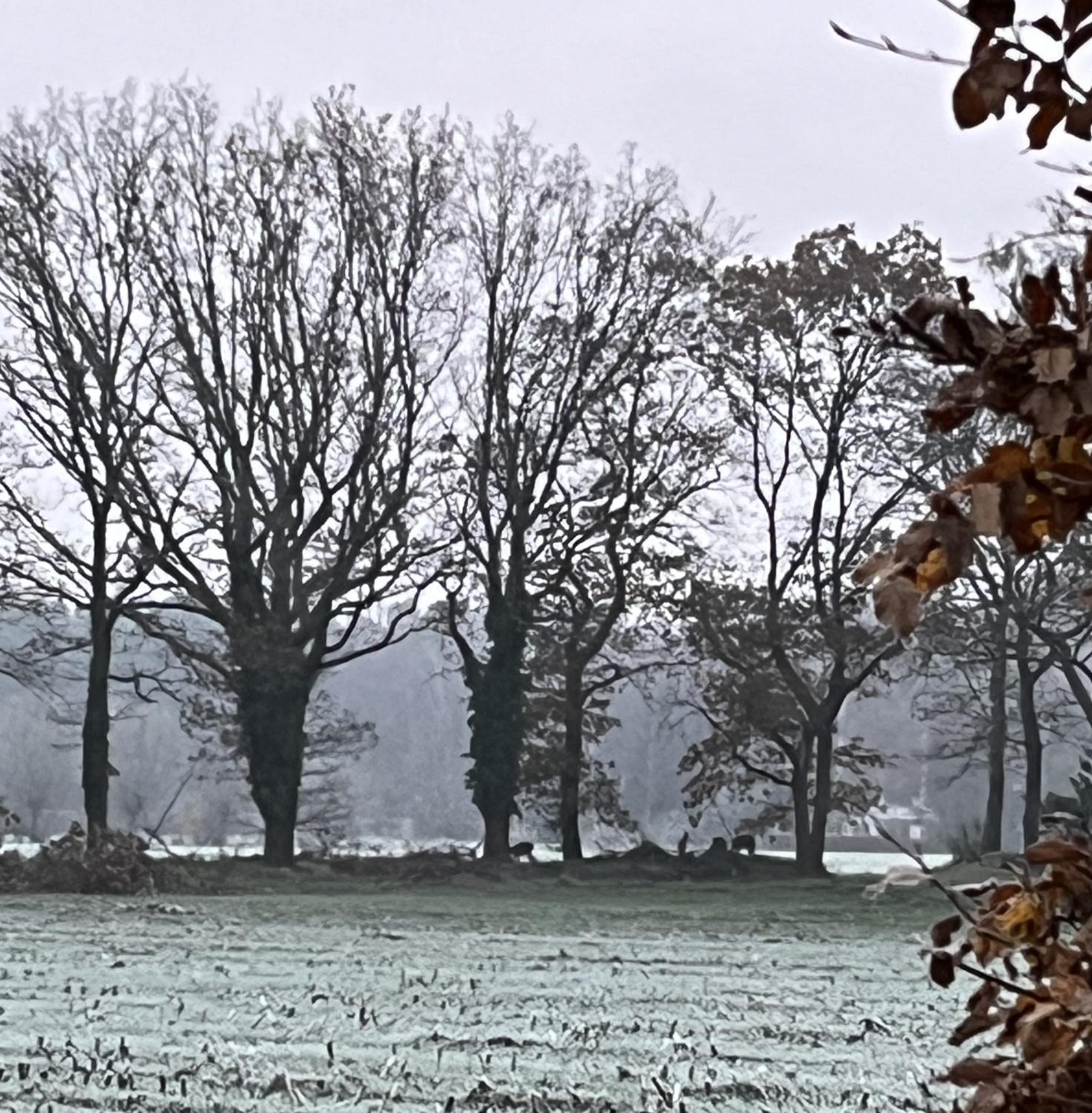 Erve Zonnehoeve B&B en Wijngaard