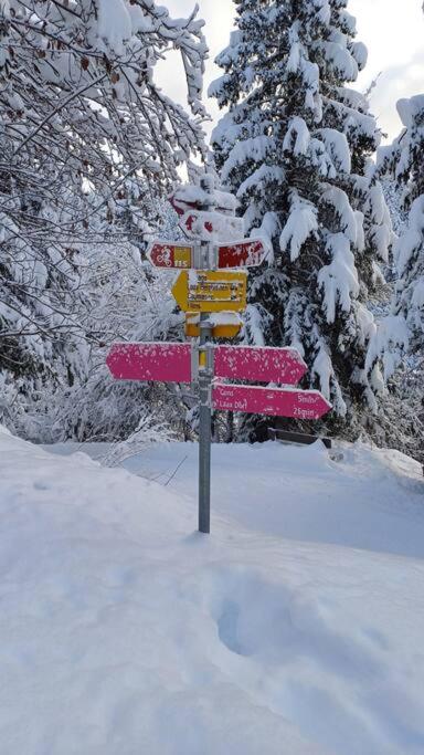 Comfortable apartment near the ski station with parking