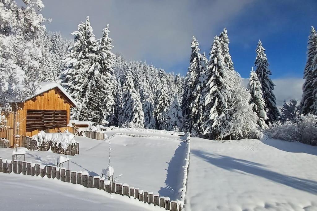 Comfortable apartment near the ski station with parking