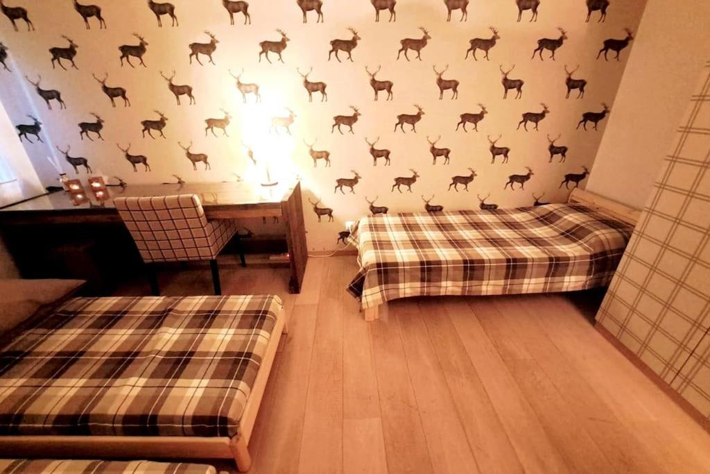 Comfortable apartment near the ski station with parking