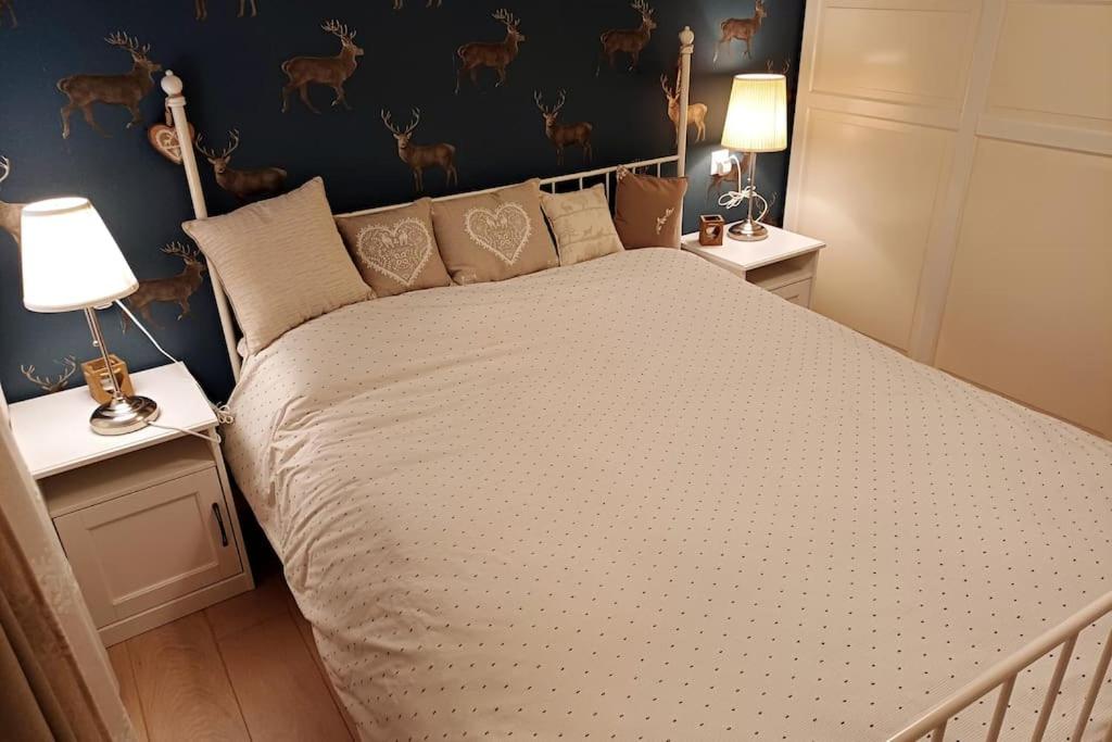 Comfortable apartment near the ski station with parking